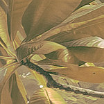 Flor naranja - View 1