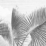 Large palm tree leaves in grey