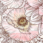 Rosa Blüte gezeichnet