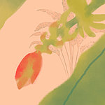 Fiore rosso e stelo verde - View 1