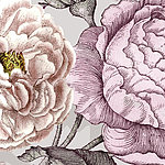 Нарисованные цветы в оттенках розового