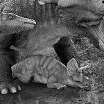Dinosaure avec bébé dinosaure en noir et blanc - View 1