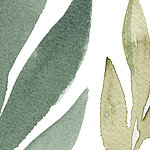 Detail of two leaves in watercolour optic