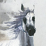 Cheval blanc peint à l'aquarelle
