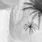 Motif de palmier en noir et blanc - View 1