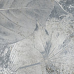 Leaf motif in silver