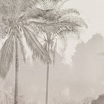 Grey motif of two palm trees