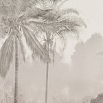 Grey motif of two palm trees - View 1