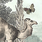 Drawn camel, trunk of a palm tree and a butterfly