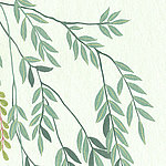 Green leaves on branches