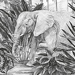 Elephant drawn in black and white