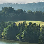 Blick über Fluss in Tannenwald hinein