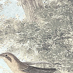 Коричневая птица на нарисованном дереве