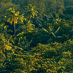 Détails impressionnants - View 3