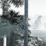 Rocher avec palmiers en bord de mer