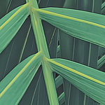 Style of fern leaf
