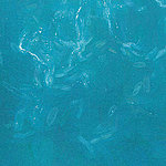 il blu profondo dell'oceano - View 1