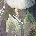 Feuilles vertes sur fond noir - View 1