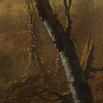 Close up of tree trunk on brown background
