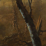 Détail de tronc d'arbre sur fond brun - View 1