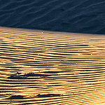 Dunes de sable du désert