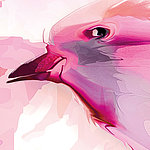 Tête d'oiseau abstraite en rose