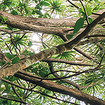 Détails impressionnants - View 2