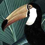 Painted toucan
