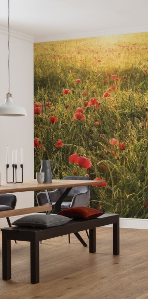 Zu den Wiese und Gras Tapeten