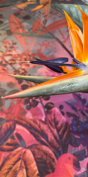 Frühling mit Eva - Просмотр 1