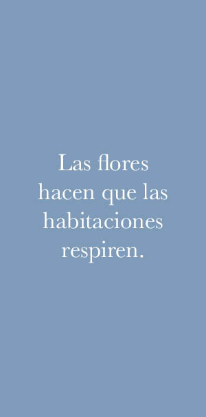 Papeles pintados con flores