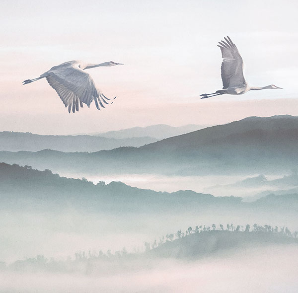 Inspiring Arts - Vue 1