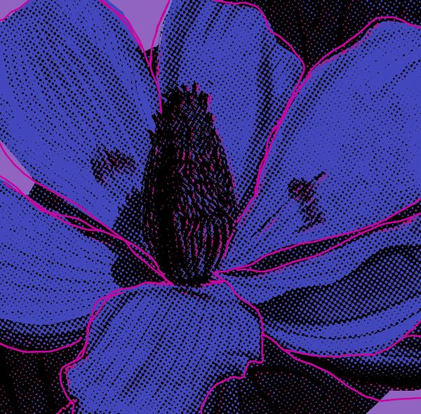 Flowers_Coloured_Canvas