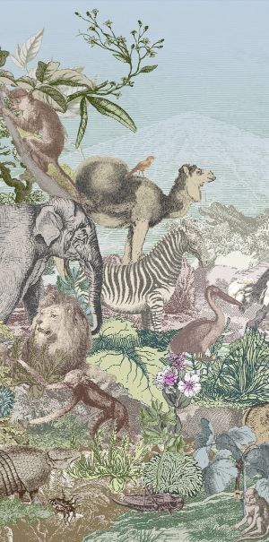 Animals Safari