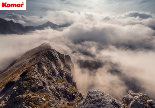 Thumbnail for Nature on canvas by Stefan Hefele