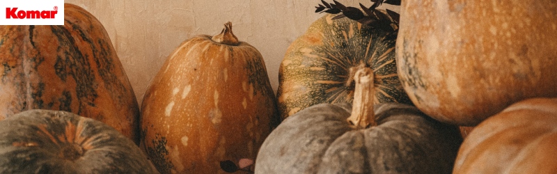 Der Kürbis – ein Allrounder im Herbst