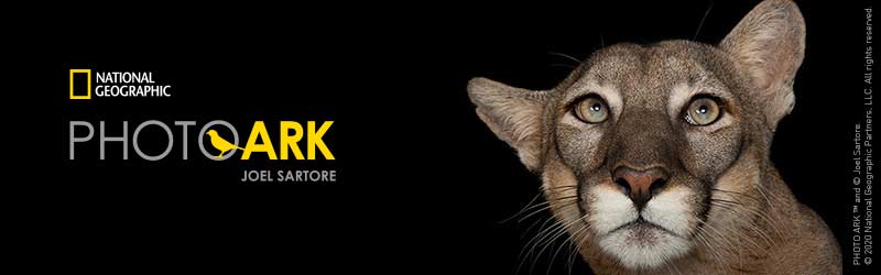 The last of their kind – a slightly different journey around the world