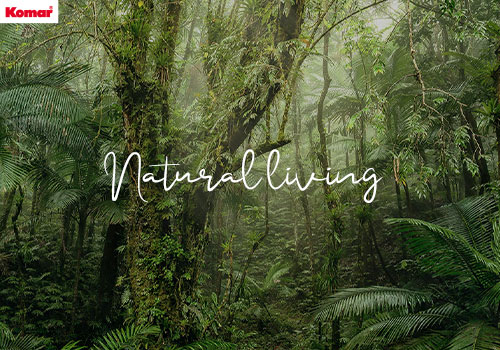 Thumbnail for Habitat naturel sous les tropiques