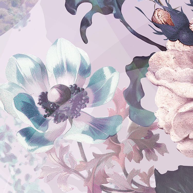 Fototapeten Digitaldrucktapete "Wish" von Komar®