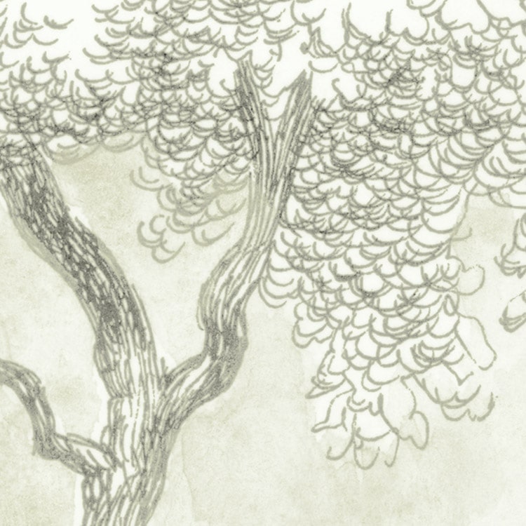 Photomurals Digital print photomural "Noble Trees" by Komar