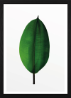 Komar Products GmbH & Co. KG