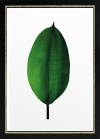 Komar Products GmbH & Co. KG