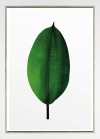 Komar Products GmbH & Co. KG