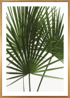 Komar Products GmbH & Co. KG
