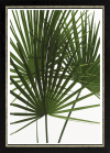 Komar Products GmbH & Co. KG