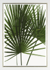 Komar Products GmbH & Co. KG