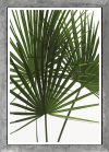 Komar Products GmbH & Co. KG