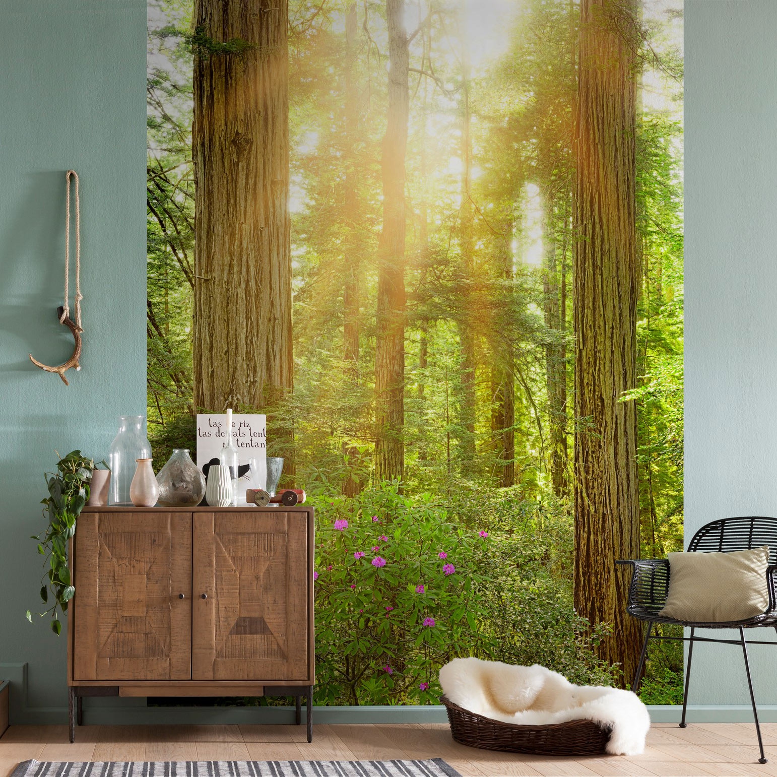 Redwood